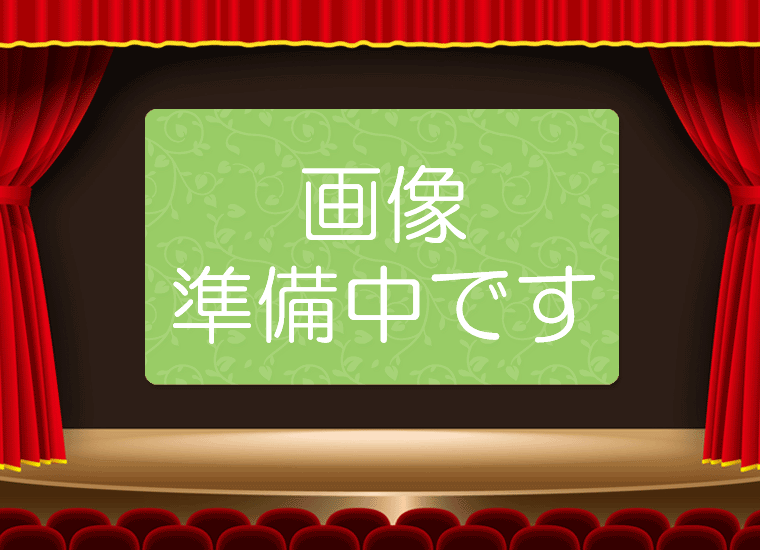 小学校の国語ノートは何マスが適正 小学３年生のケースでオススメを知る