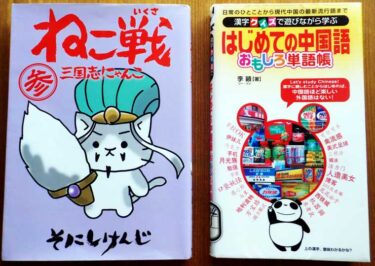 子供からの読書感想文の課題図書 戦国ベースボール は歴史好きの小学生にオススメです