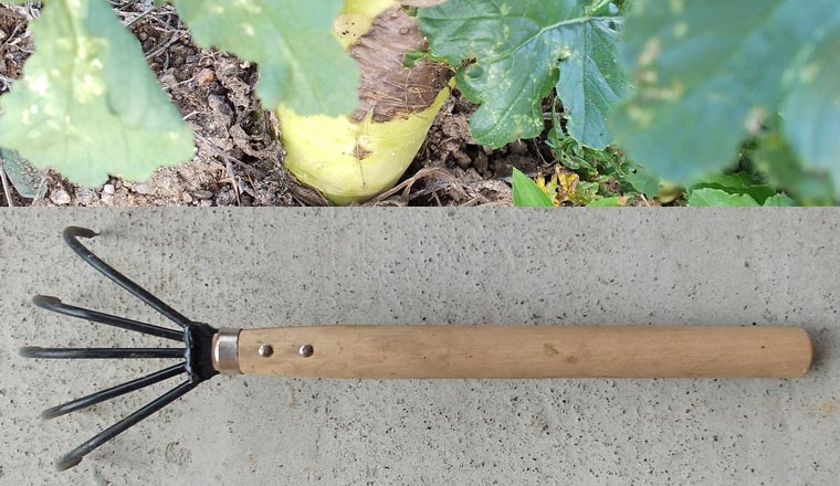 田舎暮らしメリット 秋植え野菜の畑の準備に子供 小３ も参加