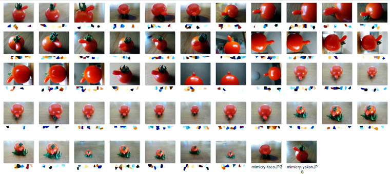 どうなる ミミクリーズの写真投稿 採用 でわかった３つの謎とコーチング法