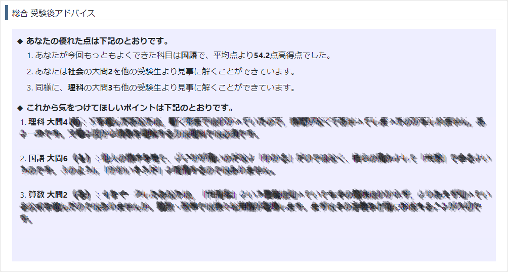 全国統一小学生テスト『君だけの診断レポートWeb成績表』総合受験後アドバイスの画面の例